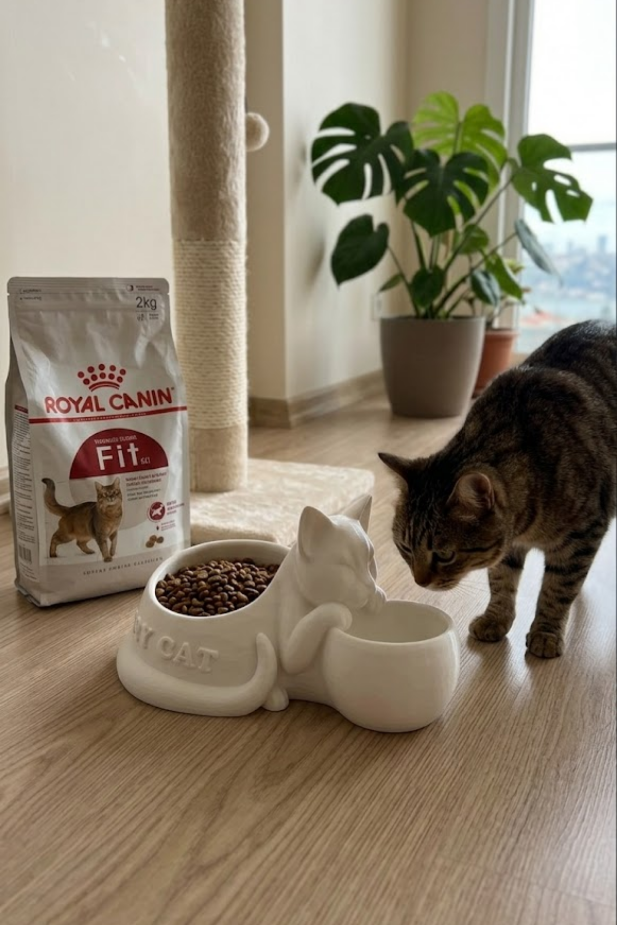 Kedi Figürlü Mama Kabı Çift Hazneli Dekoratif Mama ve Su Kabı 25 cm - Görsel 3