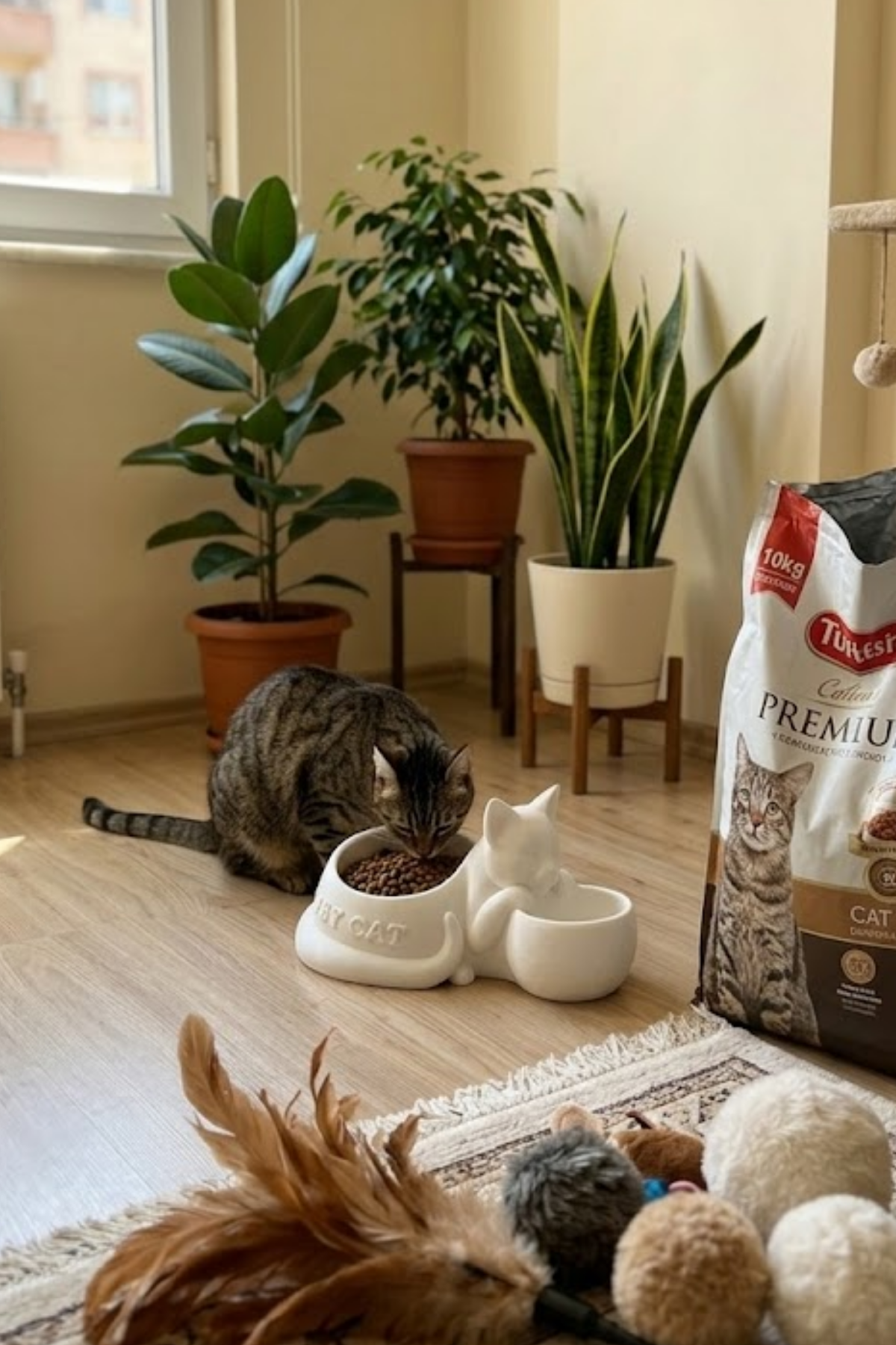 Kedi Figürlü Mama Kabı Çift Hazneli Dekoratif Mama ve Su Kabı 25 cm - Görsel 4